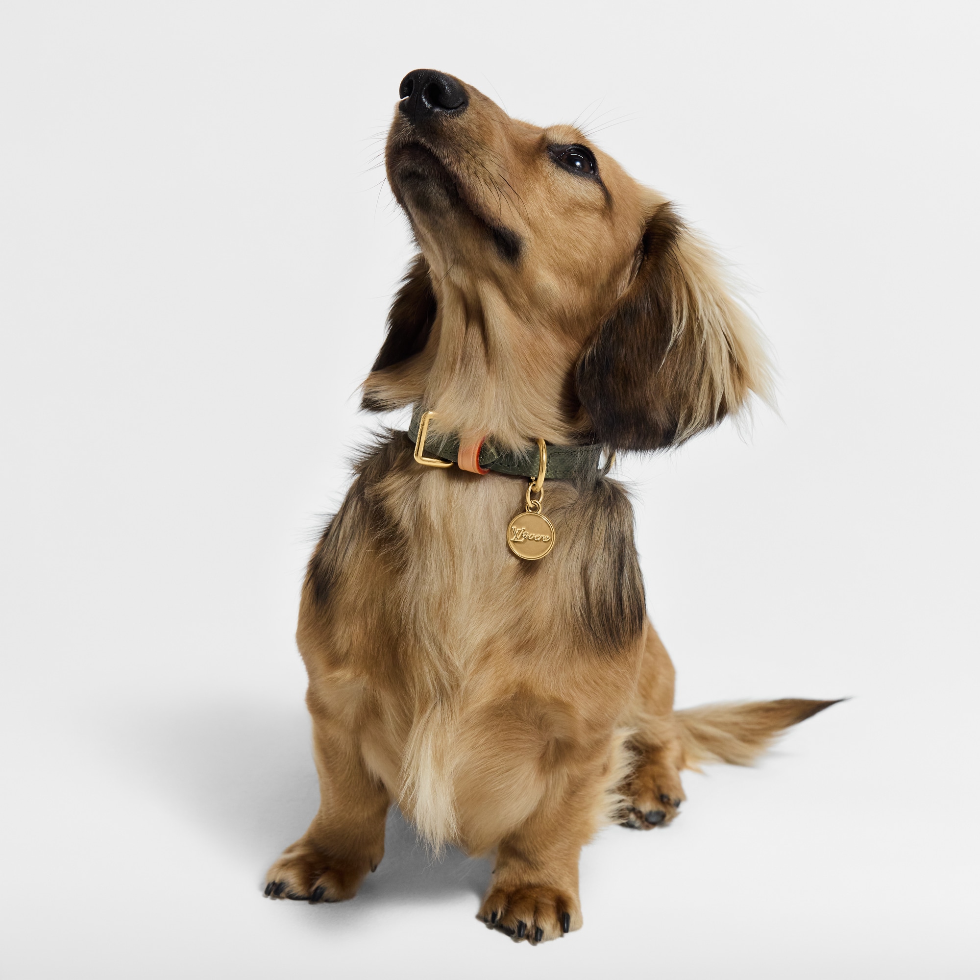 Dog Collar XS S00 - Pets Accessories | LOUIS VUITTON